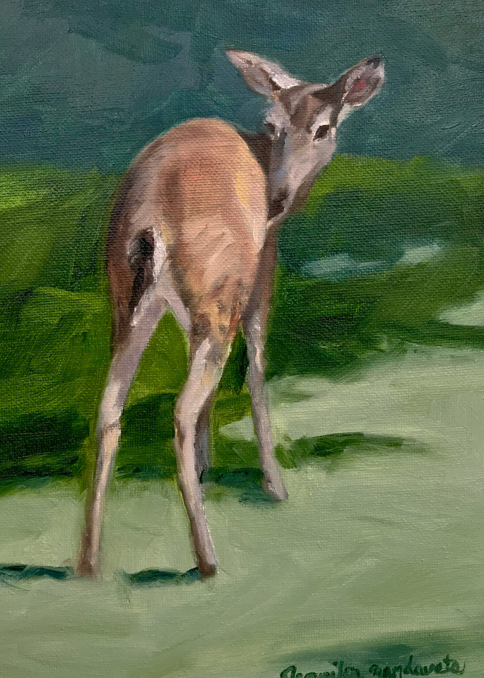 Riverhill Deer 