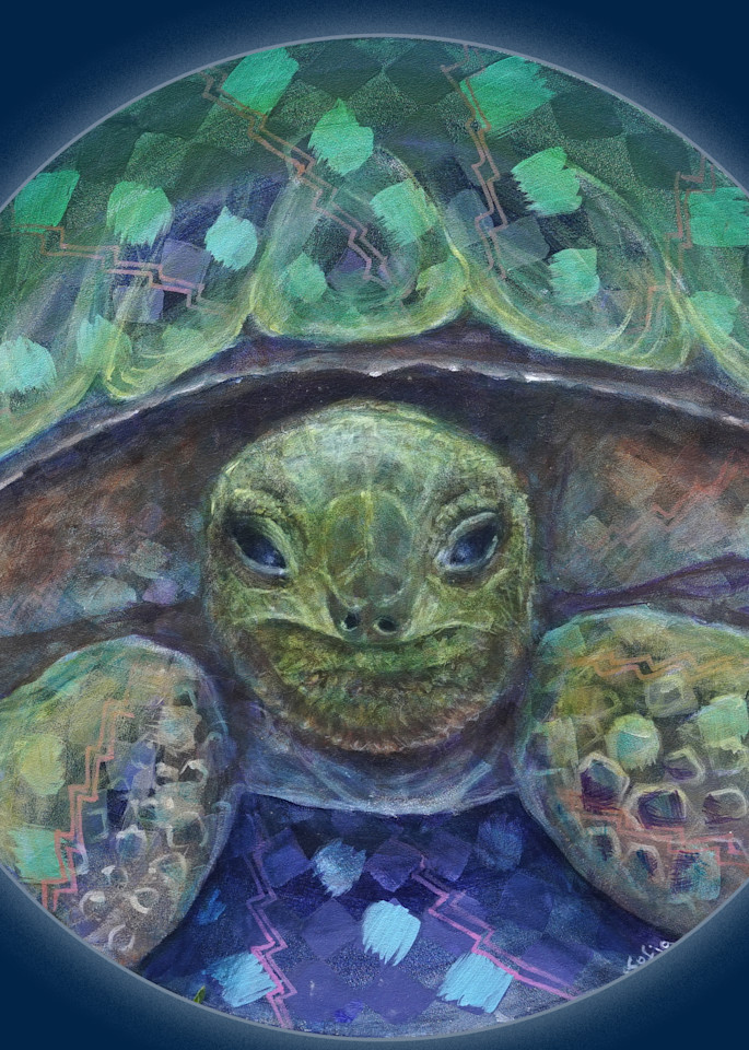 Turtle Gaze Art | Studio SpaceTime