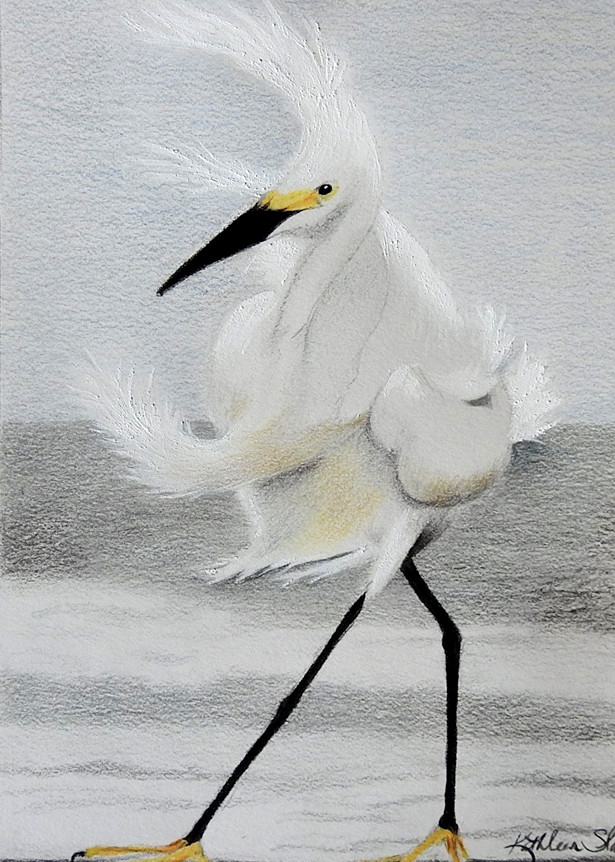  Stormy Egret Art | Kathleen Slaven Art