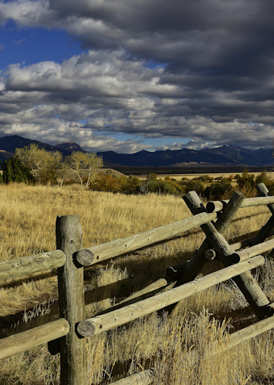Madison River Fence View Photography Art | Fly Fishing Portraits