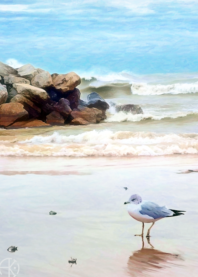 Sandy Seagull Art | Anthony Kashinn Originals