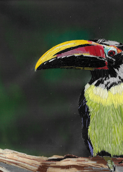 Green Aracari Art | David Poyant Paintings