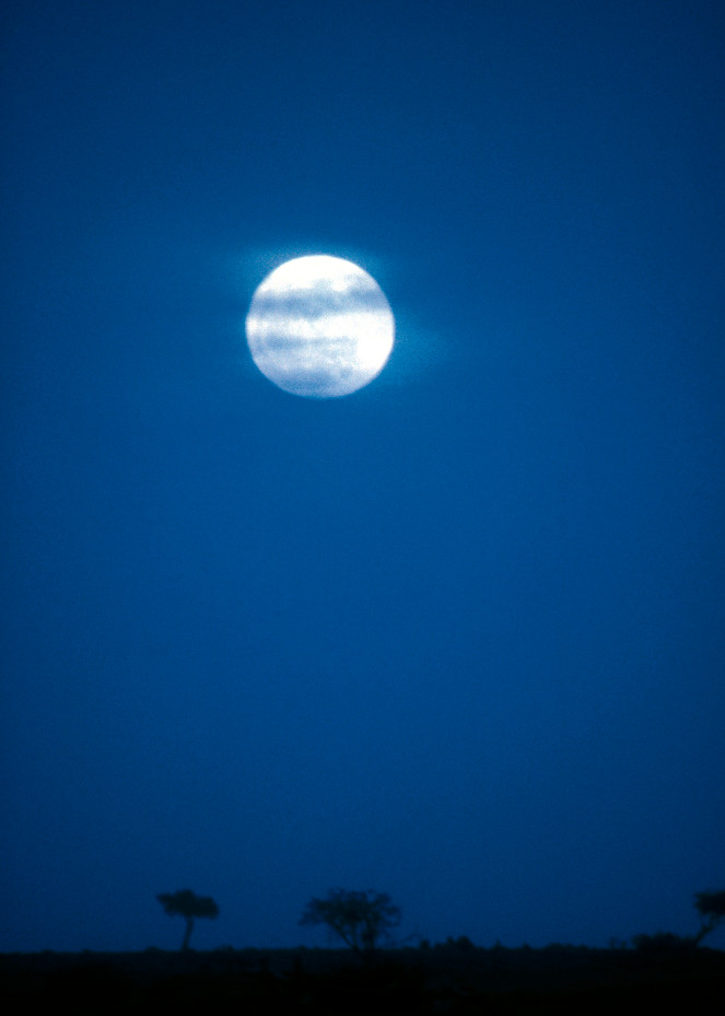 Blue Moon rise on the Serengeti