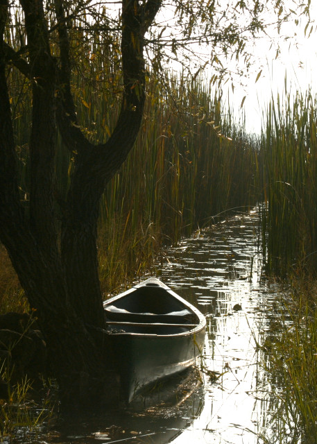 Canoe on Mexican river, Morelia landscape