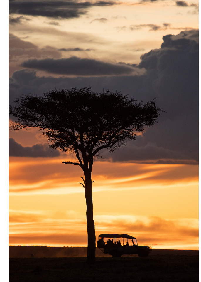 African Sunset End of Safari print
