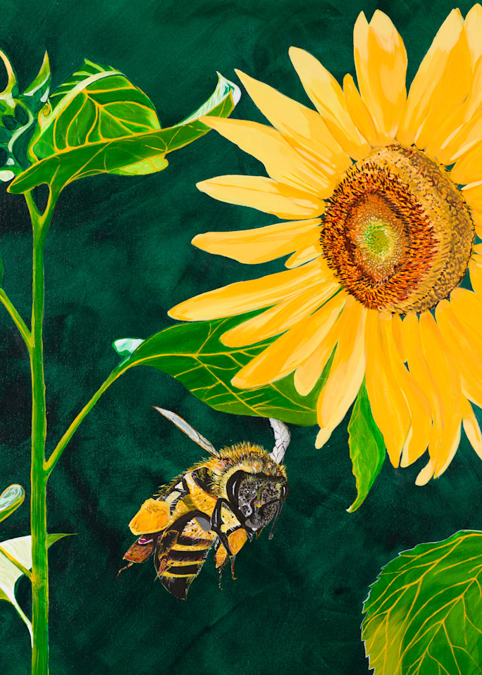 Bee Love Art | Pamela Trueblood Fine Art