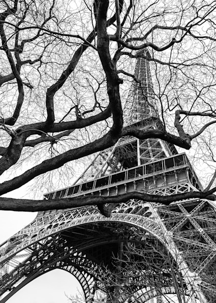 Wild Eiffel  Photography Art | Visual Arts & Media Group Corporation 