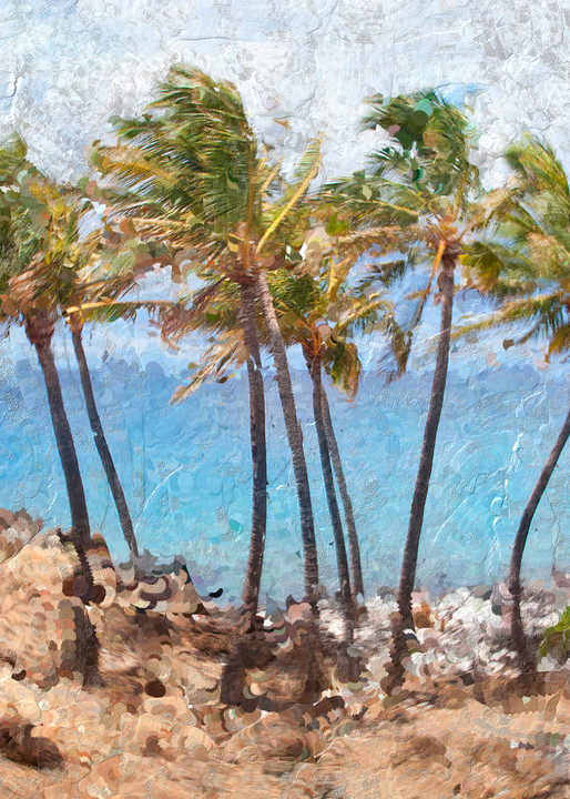 Palms Sway Art | Rick Peterson Studio
