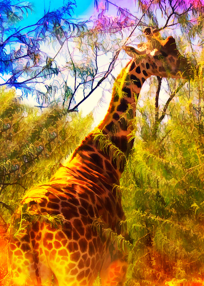 Grazin' Giraffe