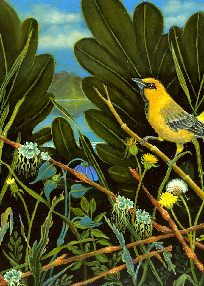 Yellow Bird Of Lake Chapala Art | miaprattfineart.com