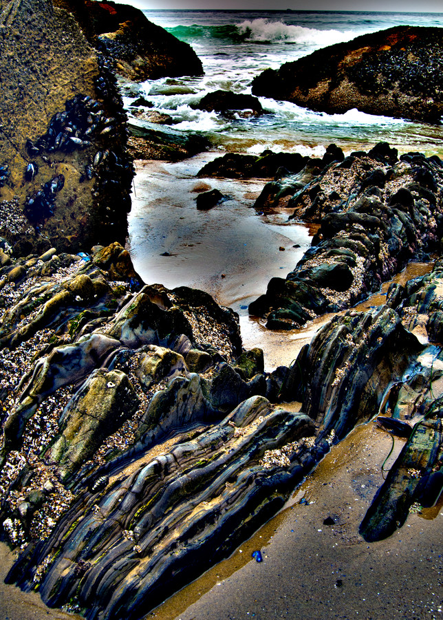 Tide Pools Photography Art | Outwater Productions