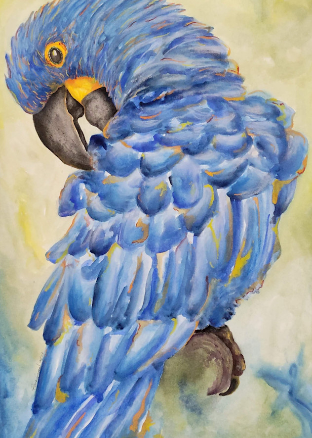 Hyacinth Macaw Art | Art by Raney Good