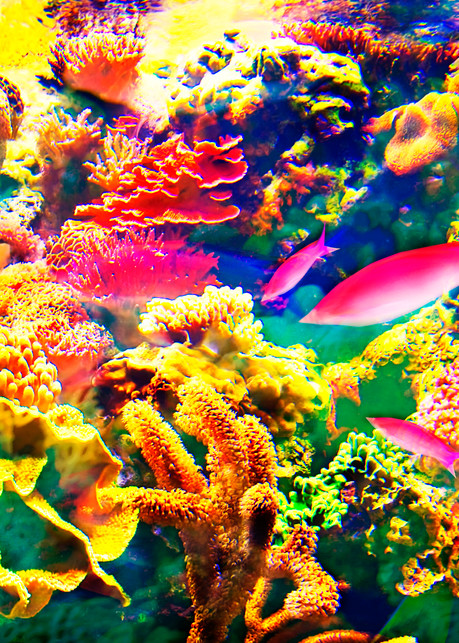 Aquarium in the Sea