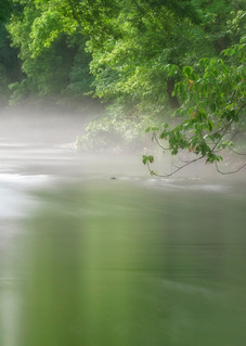 Peaceful Morning On The Creek Photography Art | Images of the Ozarks, Photography by Steve Snyder