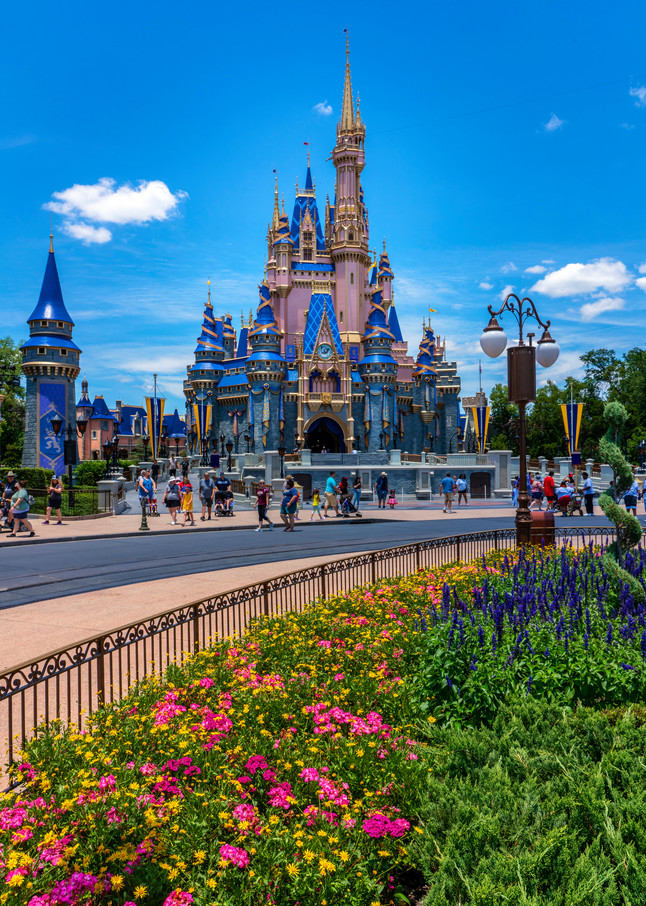 50th Anniversary Cinderella's Castle From The Hub Photography Art | William Drew Photography
