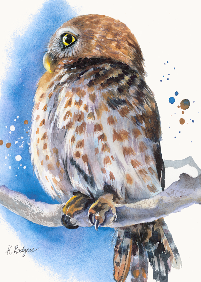 The Cuban Pygmy Owl Tote Art | Katherine Rodgers Fine Art