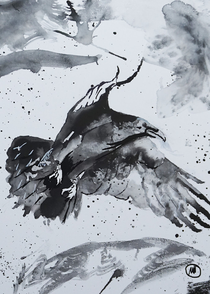 Raven Flight Art | Matt Dawson Art