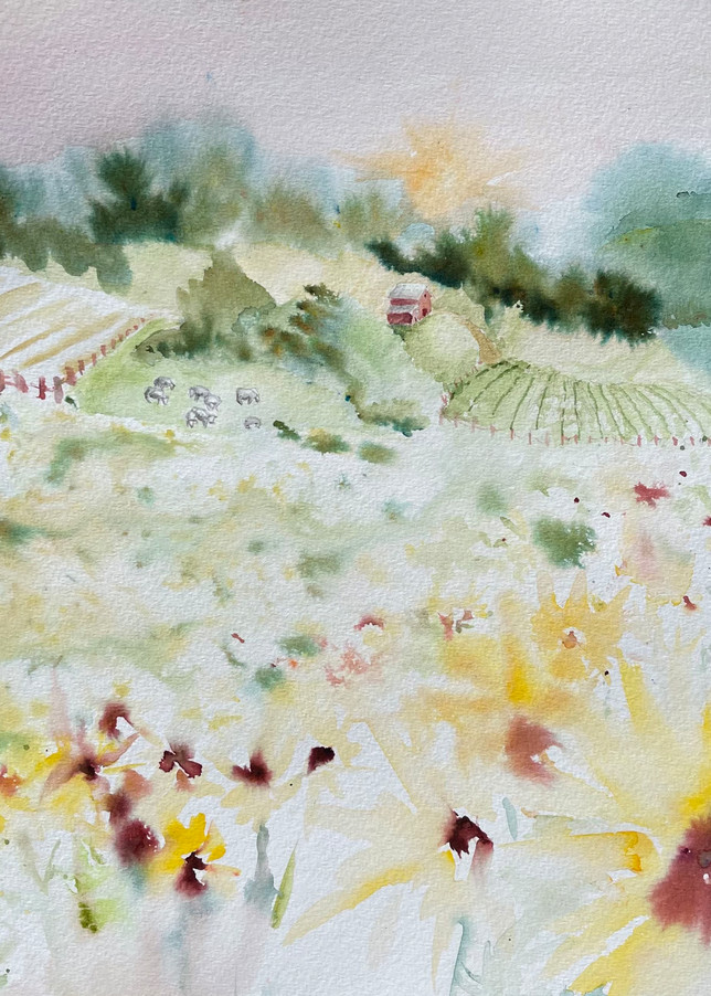 Sunflower Prairie And Farm Fields Art | Color Splash Ranch