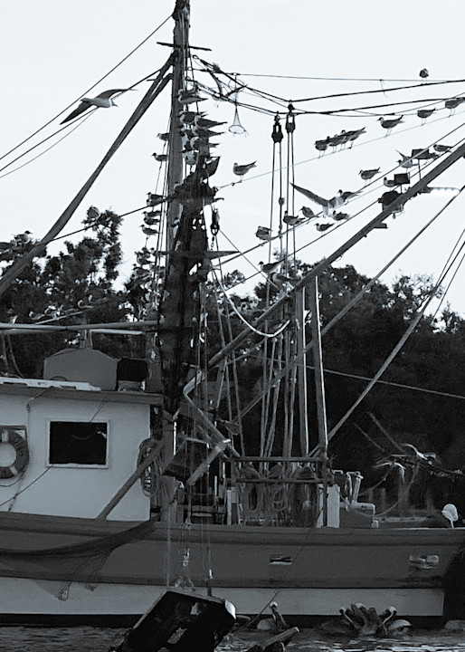Shrimper In The Bay 5 Art | 3G Art 