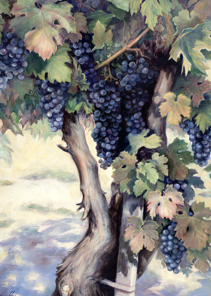 Old Vine Art | Oilartist - Haeffele Fine Art