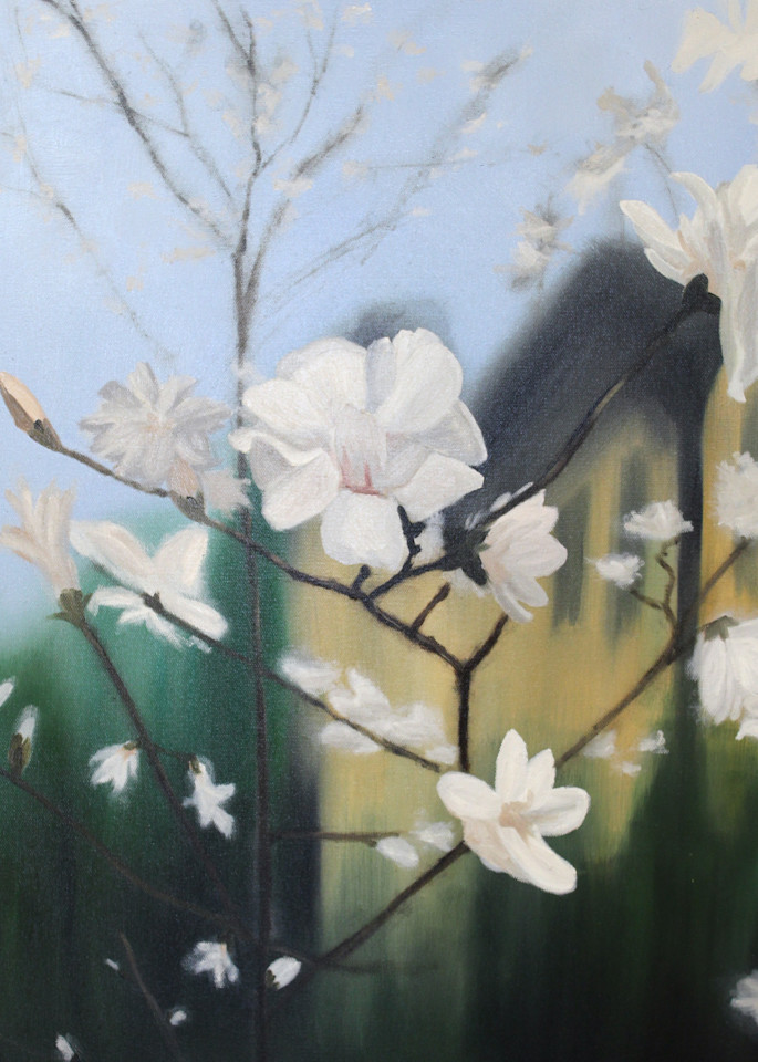 Magnolia Study #2 Art | Brendan Kramp Studio & Workshop