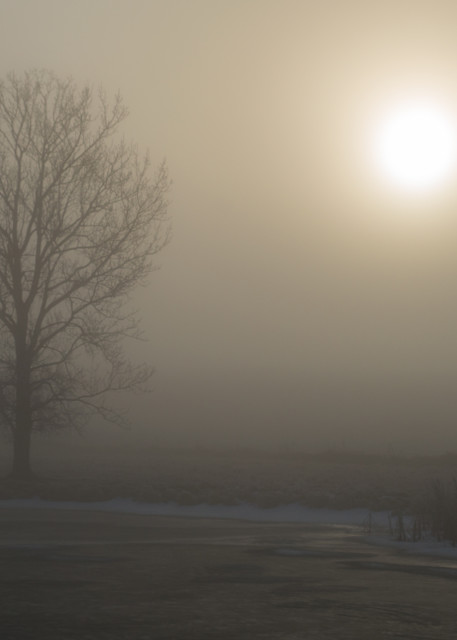 Frozen, Foggy Morning Solitude Photography Art | David W Schafer