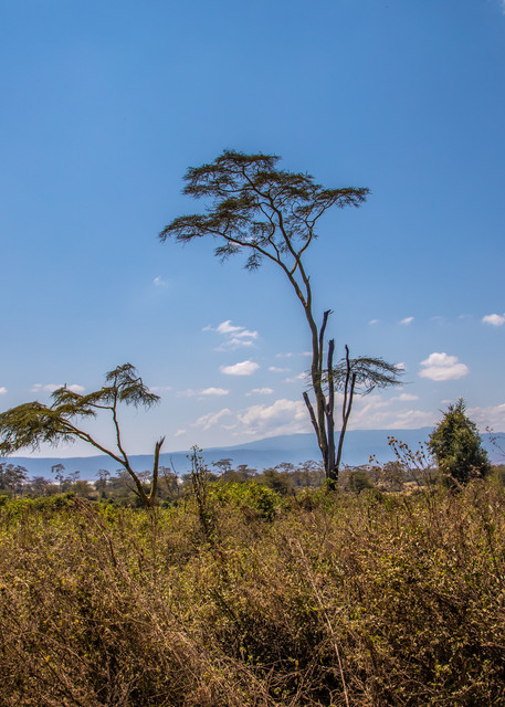 Tanzania Landscape Photography Art | waynesimpson