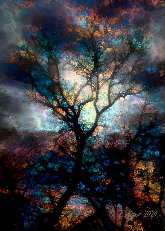 Tree Dancer Art | Jacob Folger Artist