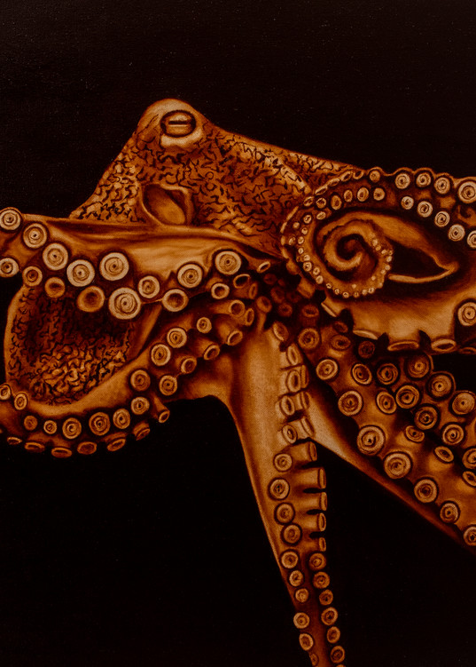 Bottom Dweller   Octopus Art | darladonleyart
