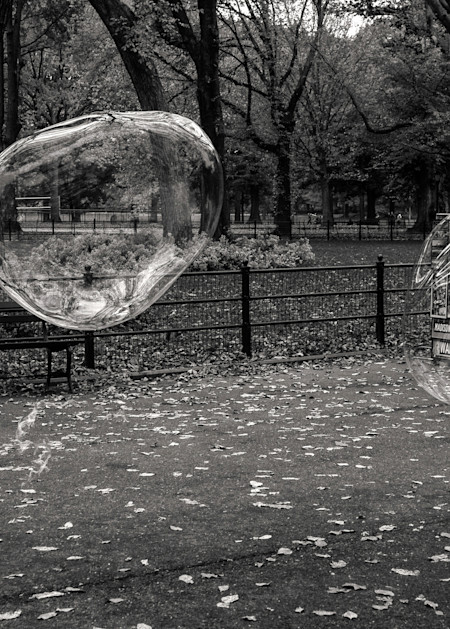 Central Park Bubbles  Photography Art | Alina Marin-Bliach Photography/alinabstudios LLC