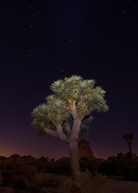 Desert Nights Ii Photography Art | Goswick Fine Art Photography