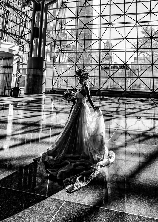 Bride Posing  Javits Center  Nyc Art | A Touch of Color Photography