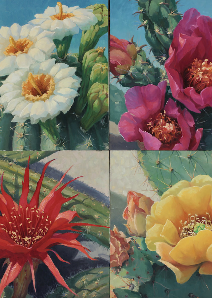 Cactus Flowers 7 Art | Diehl Fine Art