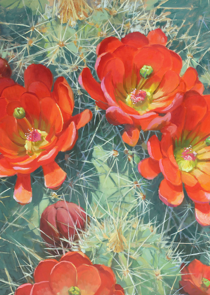 Cactus Flower 8 Art | Diehl Fine Art