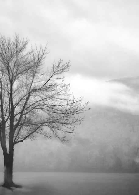 Serenity Art | Foothills Mercantile Co