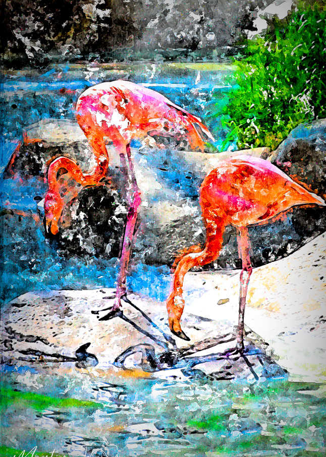 Watercolor Flamingo   Double Trouble Photography Art | Martin Javor Photography, LLC