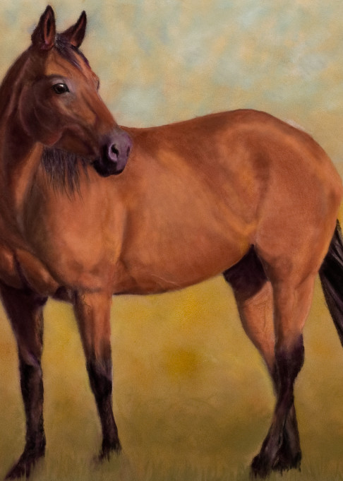Lark the bay quarter horse by Nancy Conant