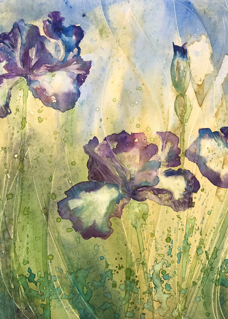 Grandmas Purple Iris Flower field watercolor painting.