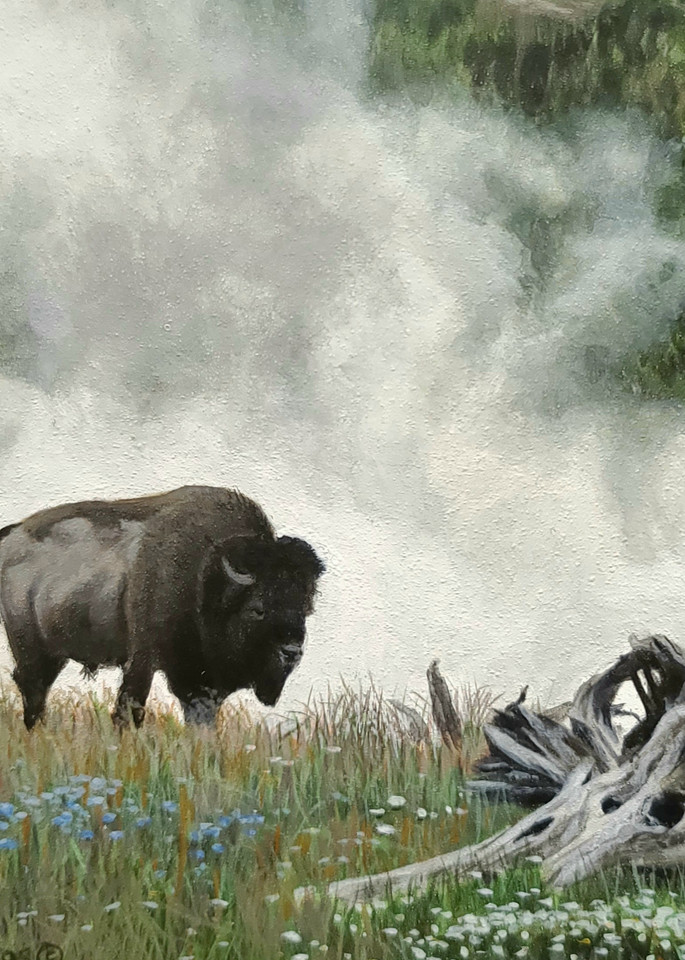 Peter Mathios - Geyser Basin and Bison