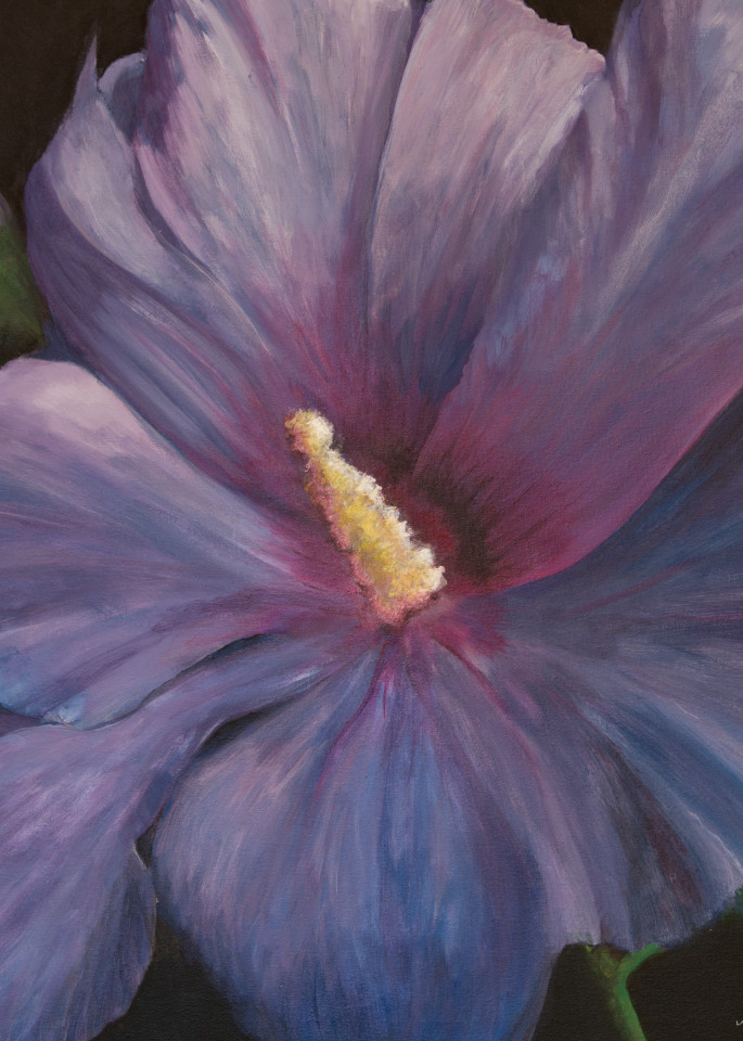Rose of Sharon by Nancy Conant