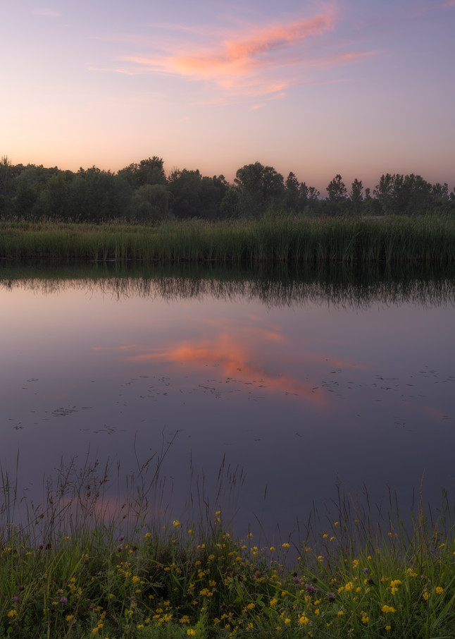 Pond Sunset #2