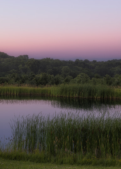 Pond Sunset #1