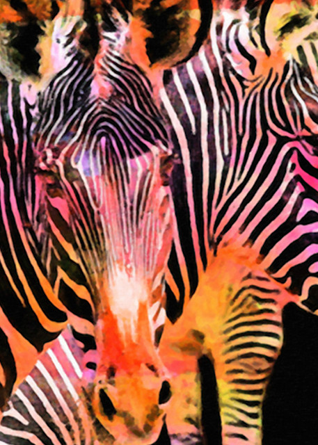 Rainbow Zebras Photography Art | Art Beyond Control