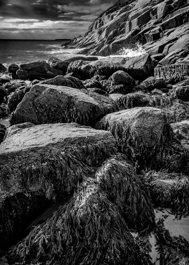 Rocks along the craggy coast of Maine
