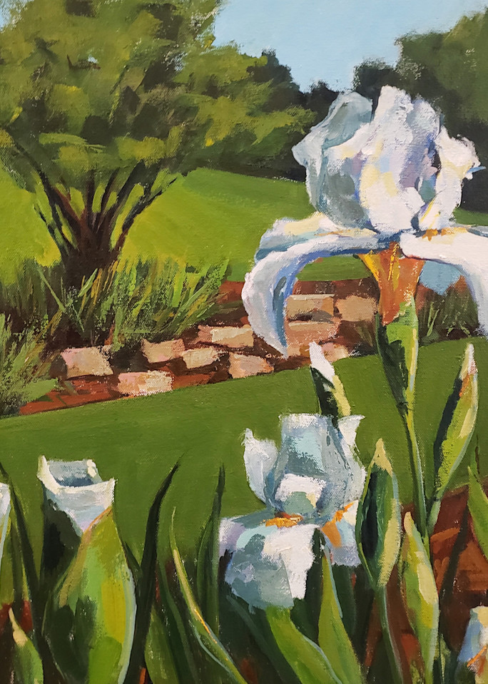 Presby Iris Garden Iv Print Art | Jenn Hallgren Artist