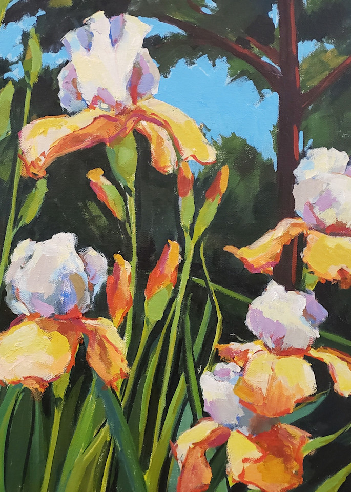 Orange Irises Print Art | Jenn Hallgren Artist