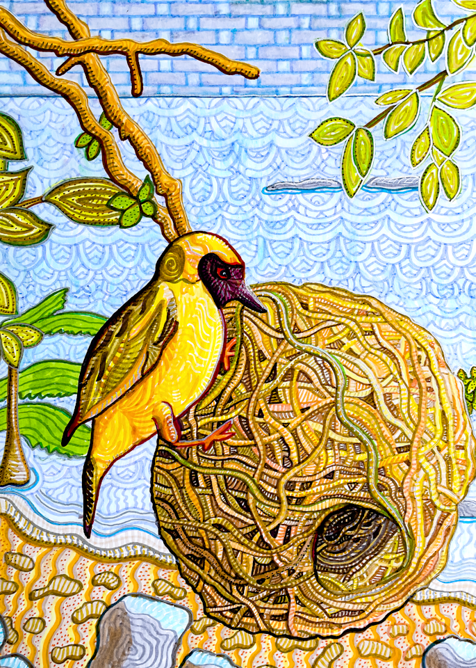 Masked Weaver  Lake Malawi Art | Kristen Palana