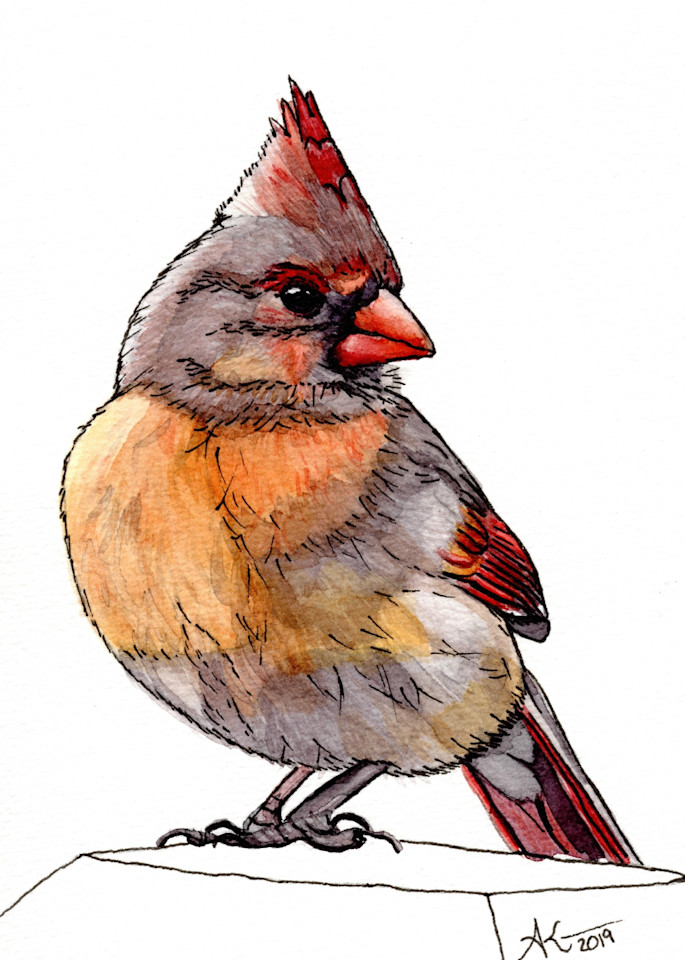 Watercolor Cardinal Art | Alexis King Artworks 
