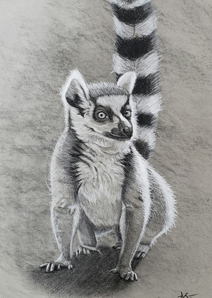 Lemur Art | Alexis King Artworks 