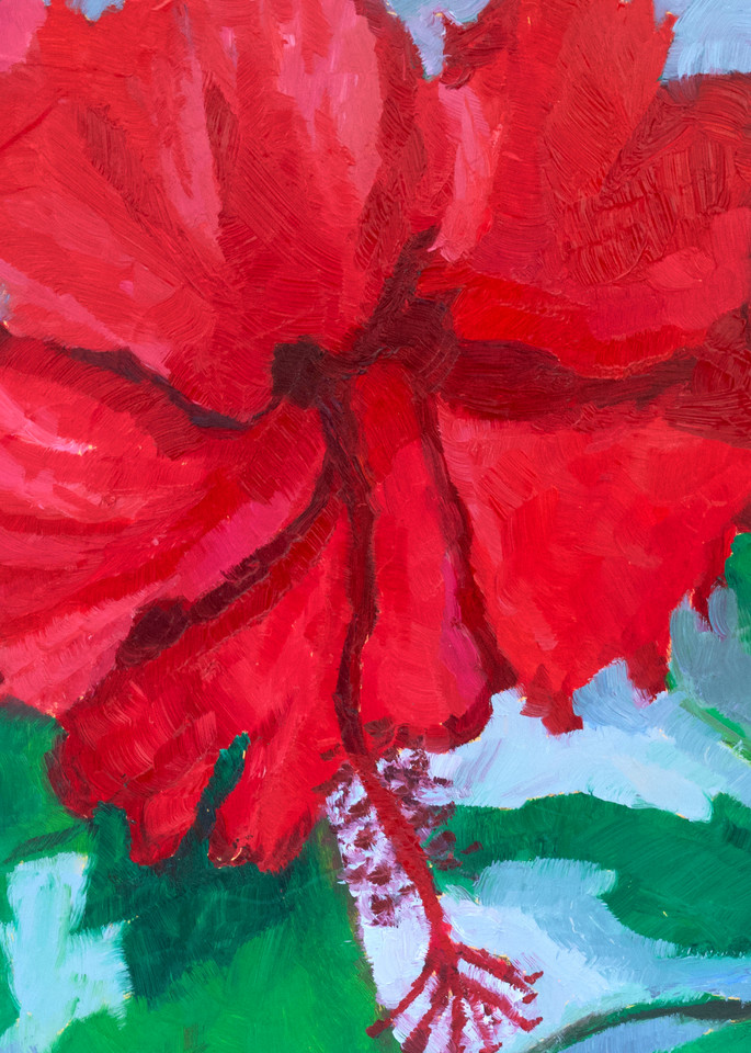 Hibiscus Flower  Art | Gabriela Ortiz Art and Design